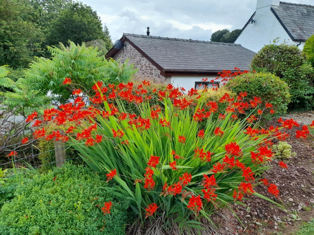 Vila Auld Ffynnon Brecon Exteriér fotografie